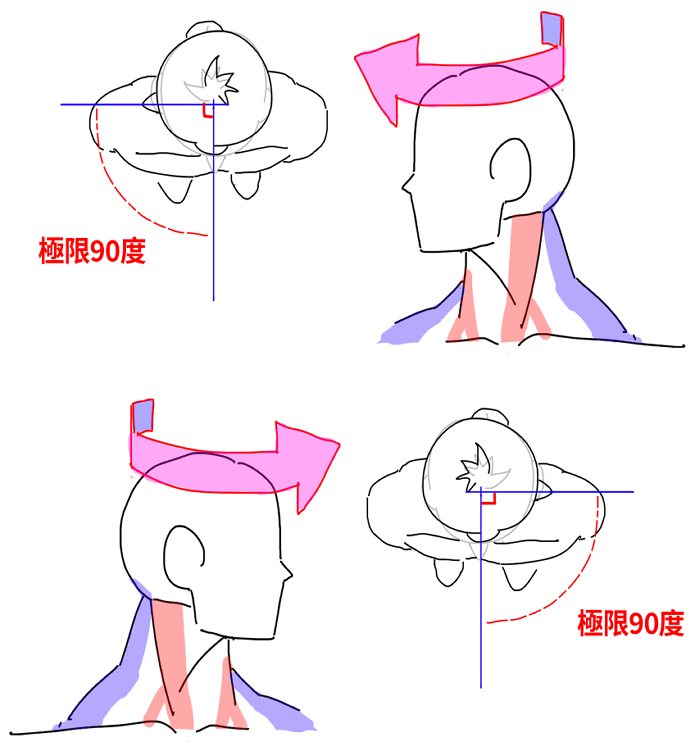 頭部左右旋轉角度示意