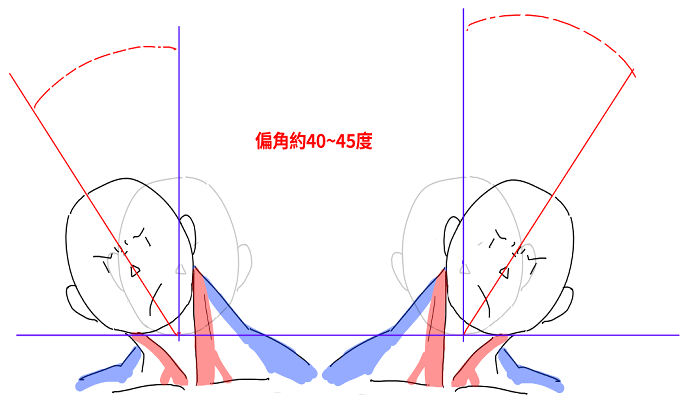 頭部左右傾斜角度示意