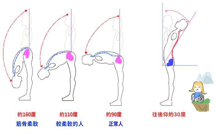 身體前彎後仰角度示意